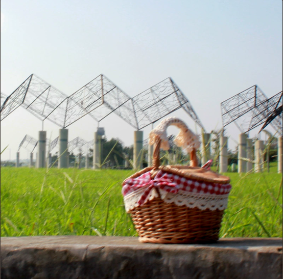 Lined Woven Picnic Basket