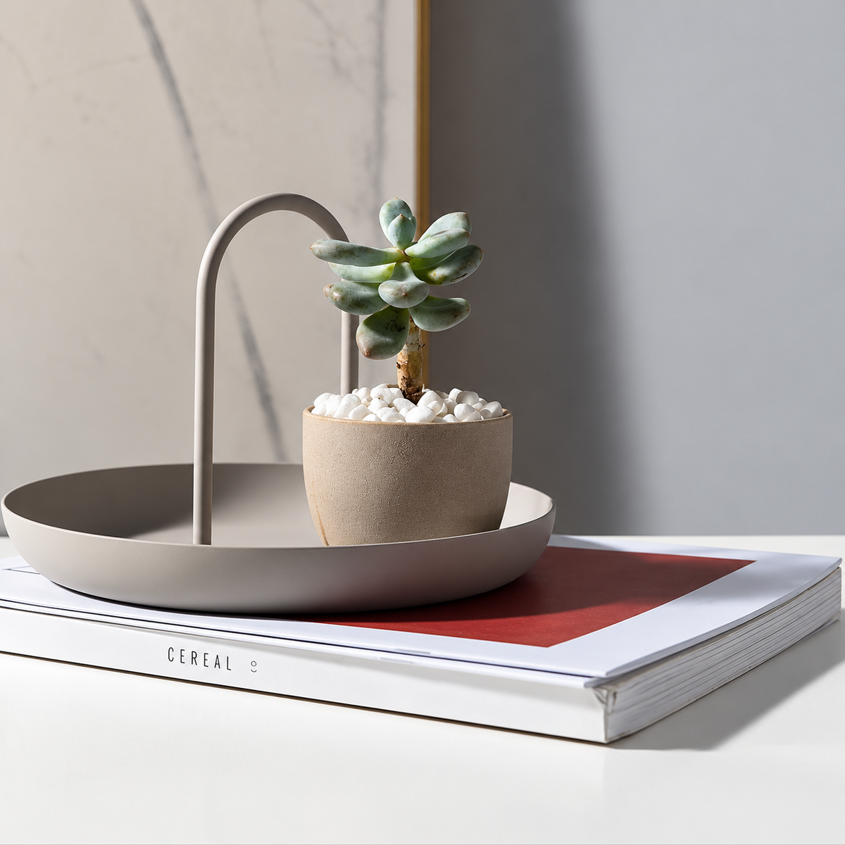 Arch Handle Display Tray
