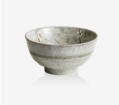 Japanese Mino Yaki Noodle Bowl