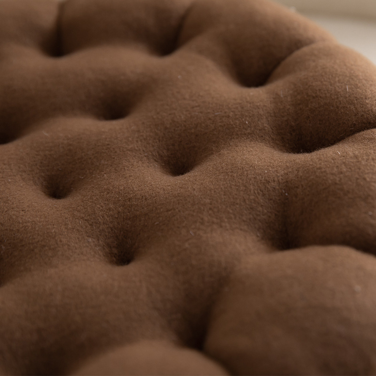 Biscuit Plush Cushion