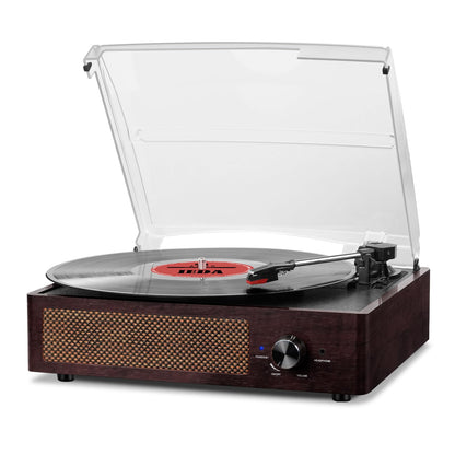 Vinyl Record Player