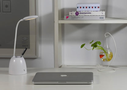 Multi-Function Desk Lamp